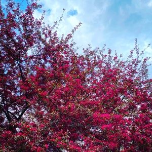 Meet your Posher, Kelli